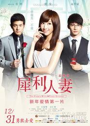 犀利人妻,揭秘现代女性独立自主的奋斗之路