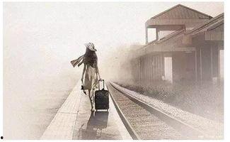 游子归家,漂泊岁月里的温馨回归