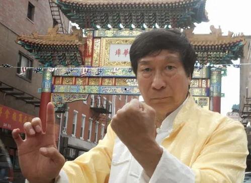 洪拳大师,传承与创新，揭秘中国武术瑰宝