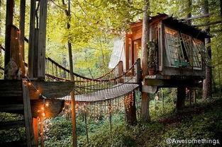 林中笑屋,探寻自然与欢乐的和谐共鸣