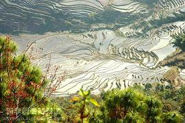 梯田姐妹,传承农耕文明，共筑乡村振兴梦