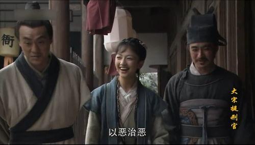 大宋提刑官,法度与人性交织的古代刑侦传奇